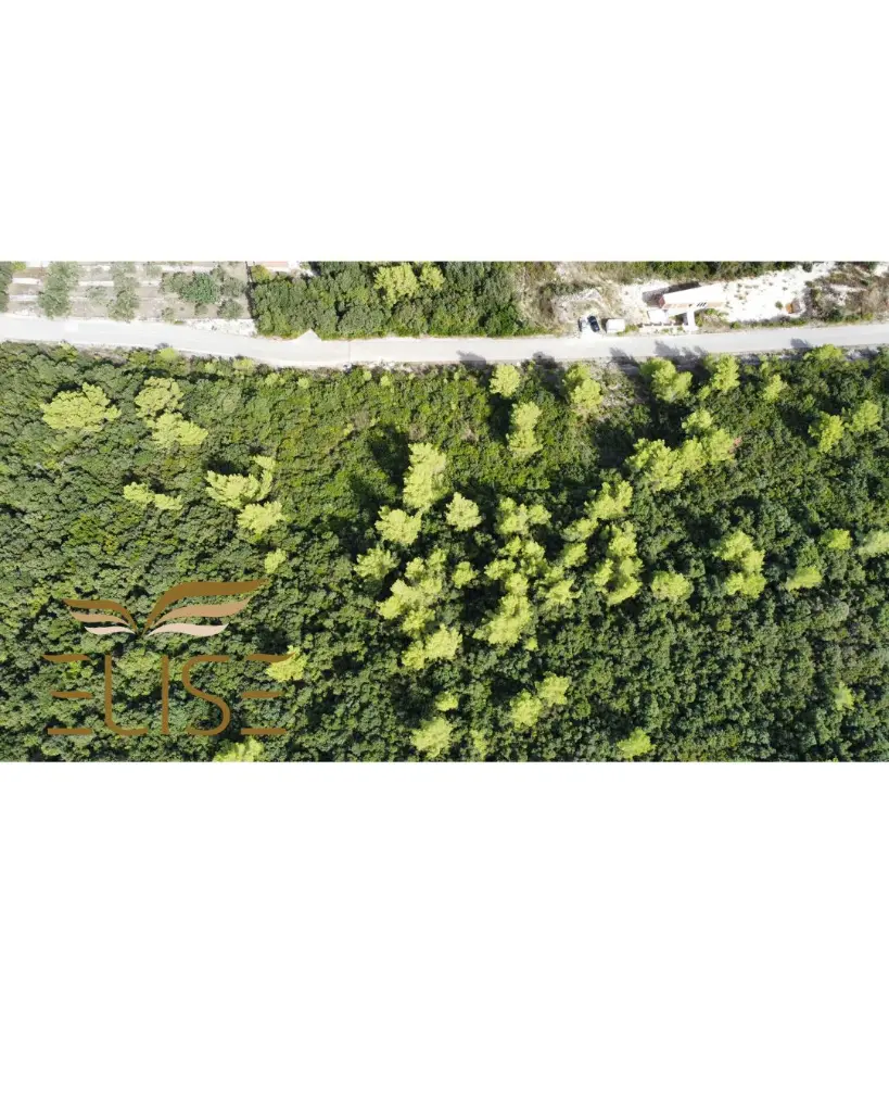 Dizajn bez naslova (1).webp