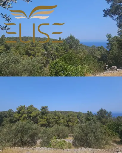 BUILDING PLOT WITH SEAVIEW - ŽUKOVA / VELA LUKA