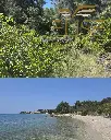 VESNA GRADINA 2.webp