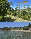 VESNA GRADINA 4.webp