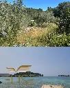 gradina-vela-luka-building-land-plot-for-sale-seaview-realestate