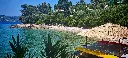 IMG_20250612_145836.webp