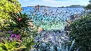 FOTKE franulović 4.webp