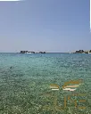 gradina 5.webp