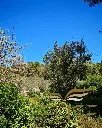 gradina 4.webp