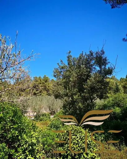 BUILDING PLOT - GRADINA, VELA LUKA