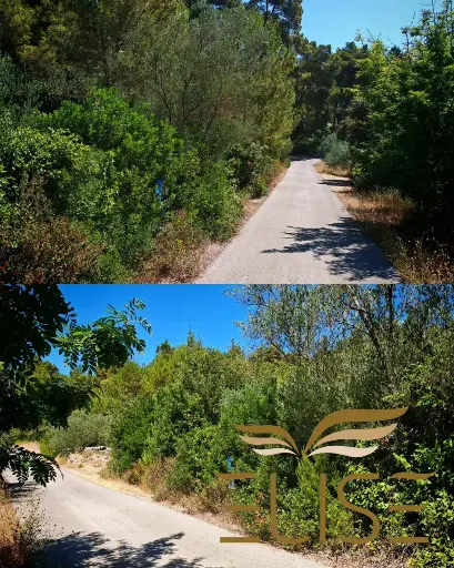 BUILDING PLOT - GRADINA, VELA LUKA