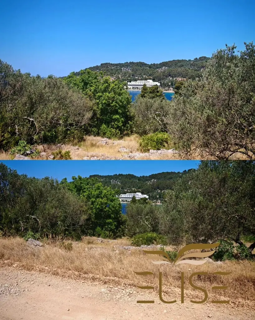 vela-luka-korčula-building-land-center-town