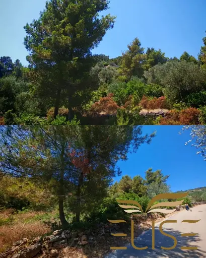 GREAT OPPORTUNITY! TWO BUILDING PLOTS NEAR KALOS