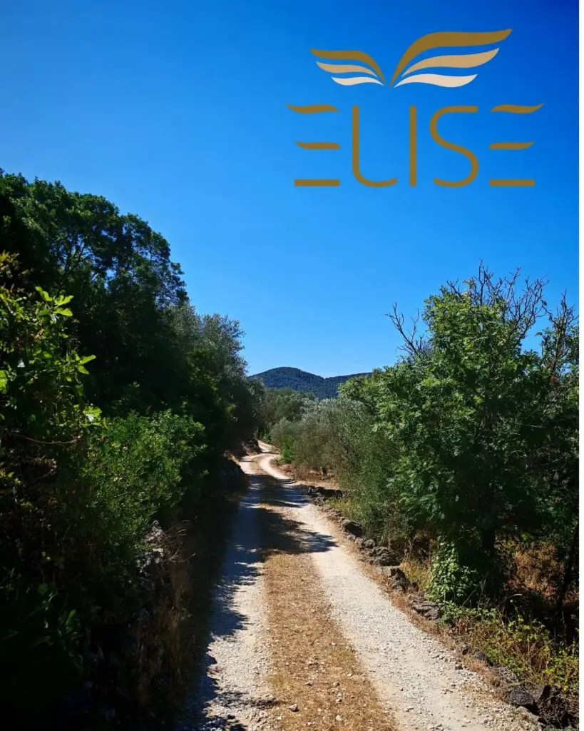 vela-luka-korčula-island-building-plot-peacefull-area-real-estate-for-sale