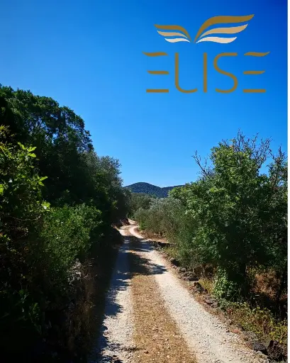 GREAT OPPORTUNITY! TWO BUILDING PLOTS IN PEACEFUL AREA
