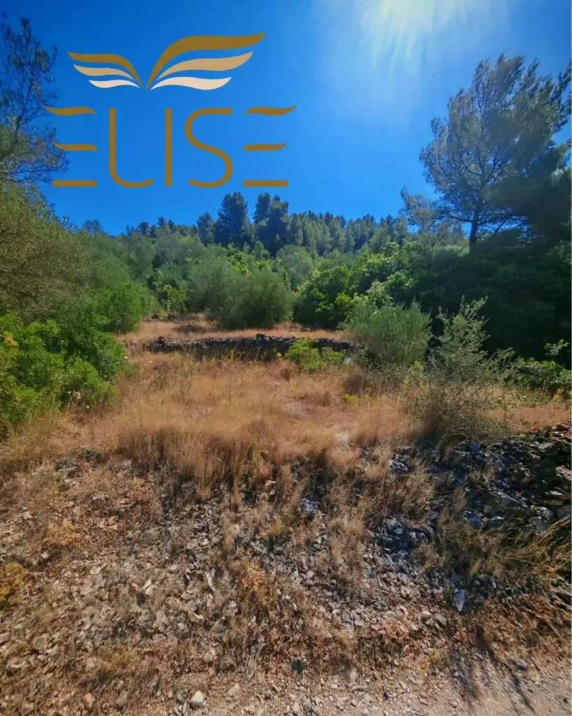 vela-luka-korčula-island-building-plot-peacefull-area-real-estate-for-sale