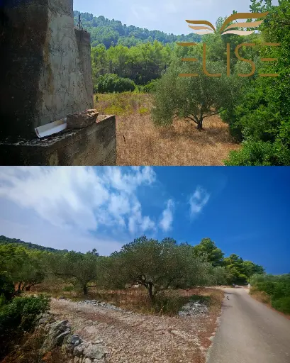 RESERVED! BUILDING LAND WITH HOUSE & OLIVEYARD