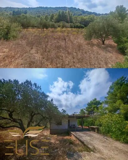RESERVED! BUILDING LAND WITH HOUSE & OLIVEYARD