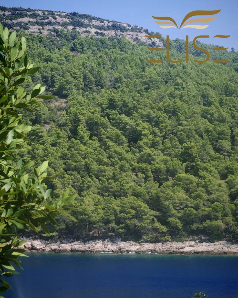 building-land-with-house-vela-luka-blato-korčula-island-poplat-potirna-bay-coast-olives-oliveyard-drywalls-nature-for-sale-real-estate