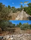 building-land-with-house-vela-luka-blato-korčula-island-poplat-potirna-bay-coast-olives-oliveyard-drywalls-nature-for-sale-real-estate