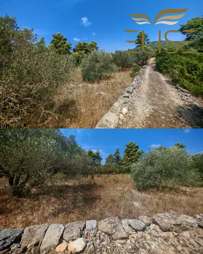 RESERVED! BUILDING LAND WITH HOUSE & OLIVEYARD