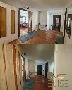 paradise courtyards5.webp