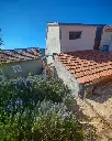 paradise courtyards 9.webp
