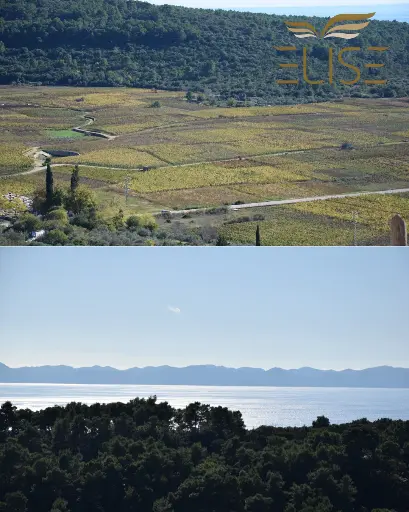 VILLA CHARA, INSEL KORČULA, 535.000€