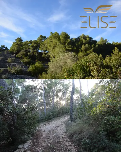 BUILDING LAND, TANKARACA BAY, FIRST ROW TO THE SEA