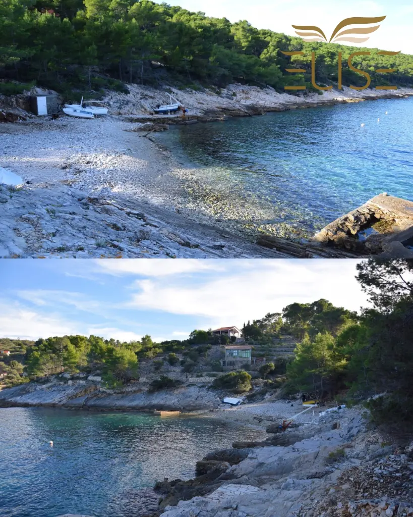 tankaraca web 7.webp