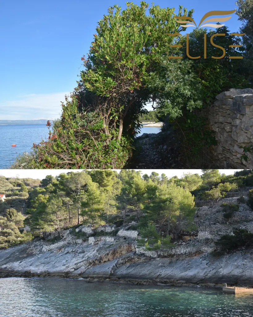 seafront picturesque beach in tankaraca vela luka