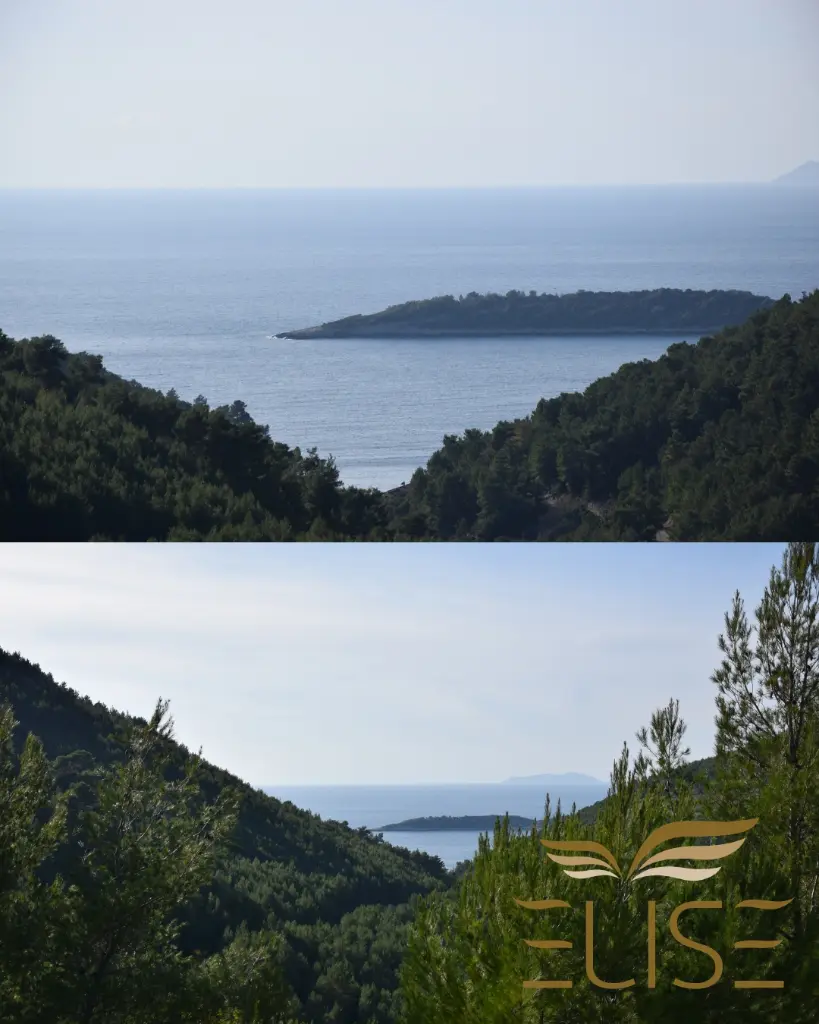 agricultural-land-for-sale-olives-oliveyard-great-opportunity-plot-with-seaview-blato-gršćica-prižba-south-coast-island-korčula
