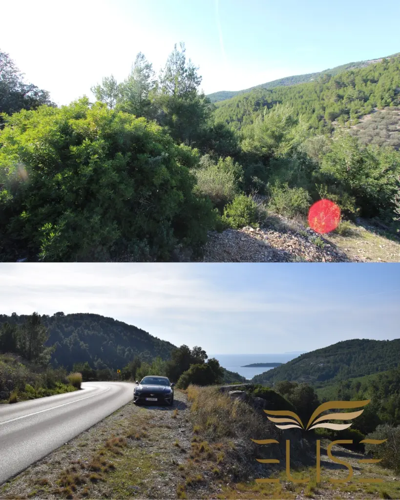agricultural-land-for-sale-olives-oliveyard-great-opportunity-plot-with-seaview-blato-gršćica-prižba-south-coast-island-korčula