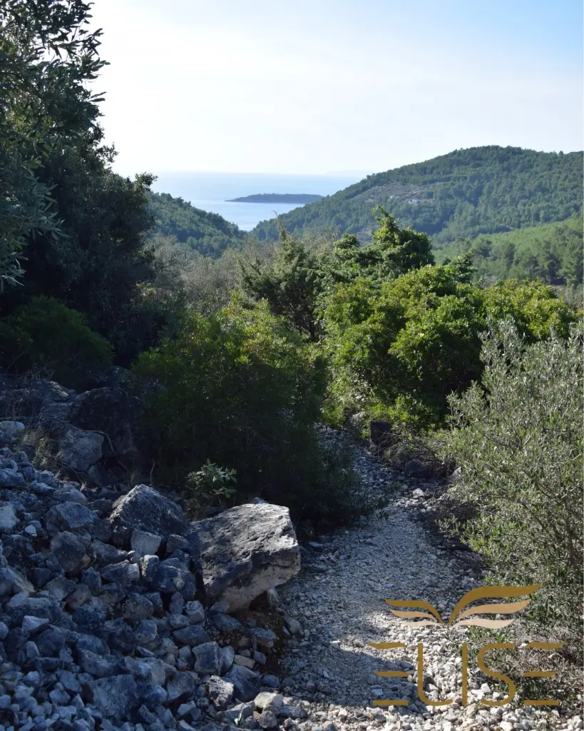 agricultural-land-for-sale-olives-oliveyard-great-opportunity-plot-with-seaview-blato-gršćica-prižba-south-coast-island-korčula