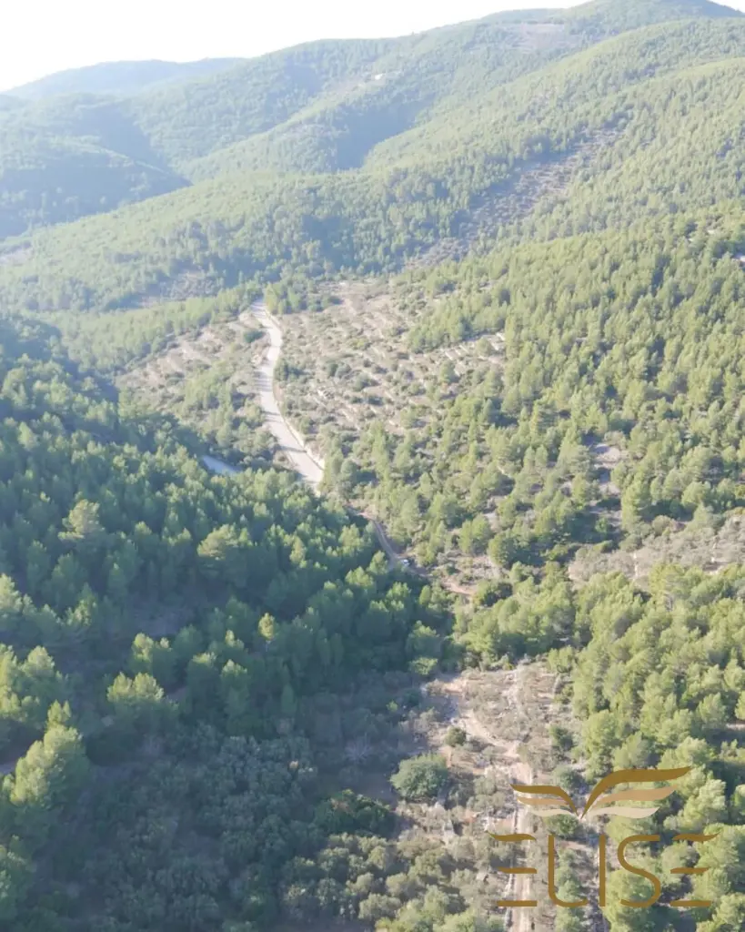 AGRICULTURAL LAND WITH SERAVIEW & OLIVES FOR SALE (6).webp