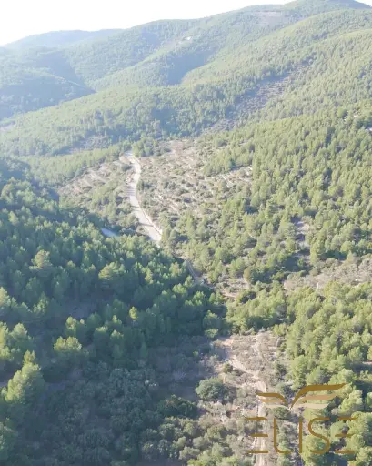 LANDWIRTSCHAFTLICHES GRUNDSTÜCK, BLATO (ANČINOVO) - 8,094 m² - 80.000€