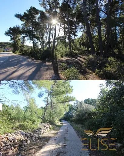 AGRICULTURAL LAND – 5 MINUTES FROM VELA LUKA