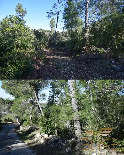 AGRICULTURAL LAND – 5 MINUTES FROM VELA LUKA
