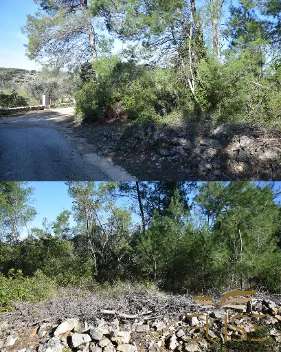 AGRICULTURAL LAND – 5 MINUTES FROM VELA LUKA