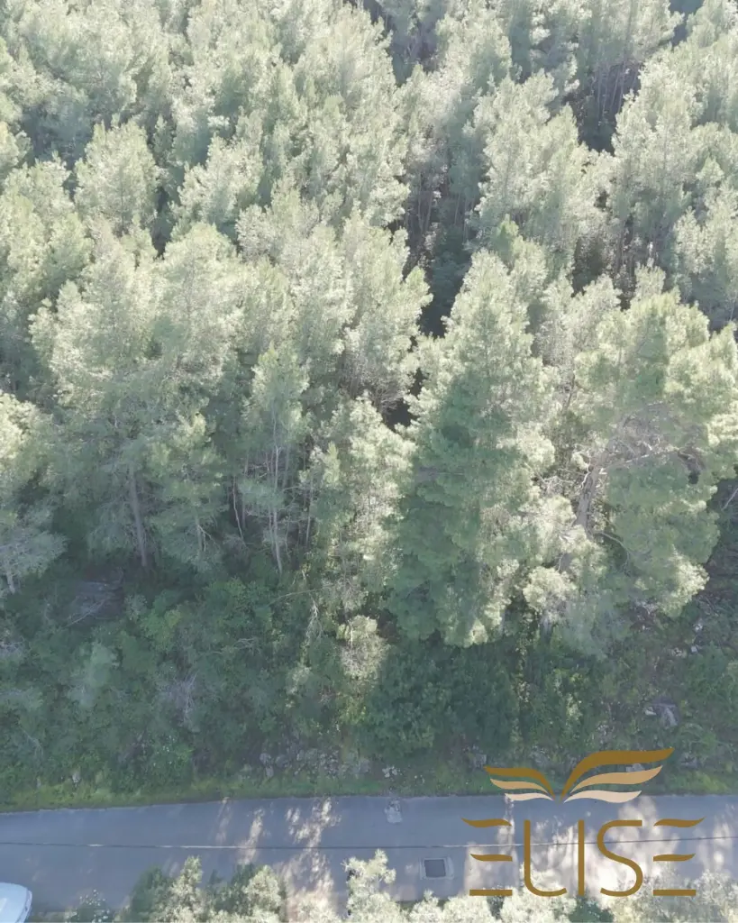 zemljište prigradica 6.webp