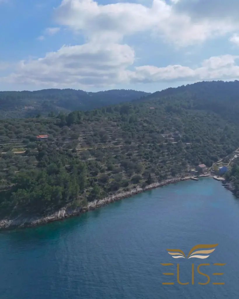 AGRICULTURAL LAND FOR SALE (15).webp