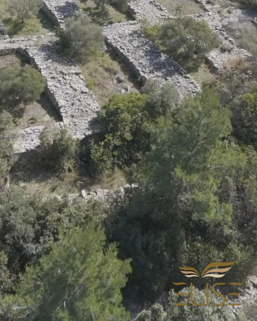 AGRICULTURAL LAND FOR SALE (13).webp