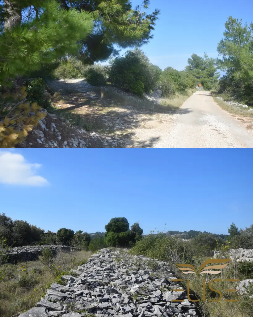 AGRICULTURAL LAND FOR SALE (16).webp