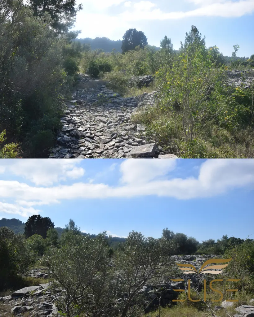 AGRICULTURAL LAND FOR SALE (17).webp