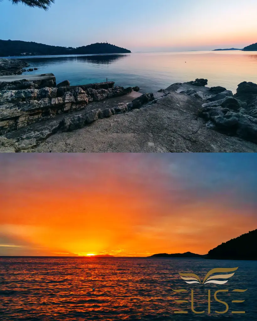 Untitled design (27).webp