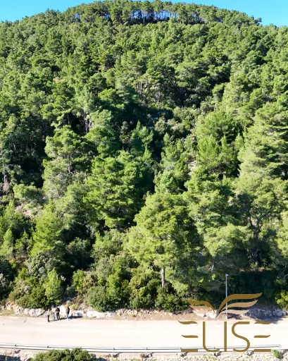 Building Plot in Smokvica – Nature, Peace, and Vineyard Views