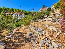 image_1920