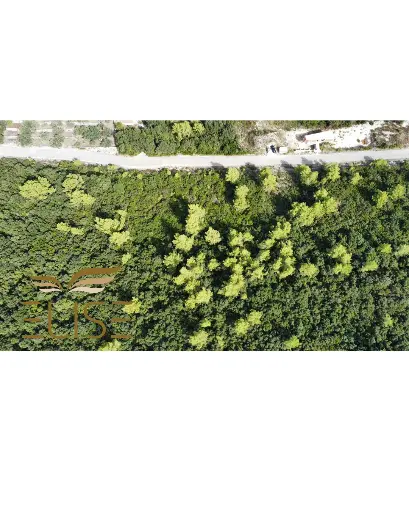 SOLD! BUILDING PLOT - BLACA, KORČULA ISLAND