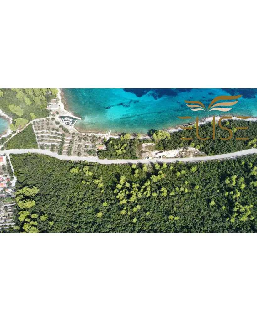 Dizajn bez naslova (4).webp