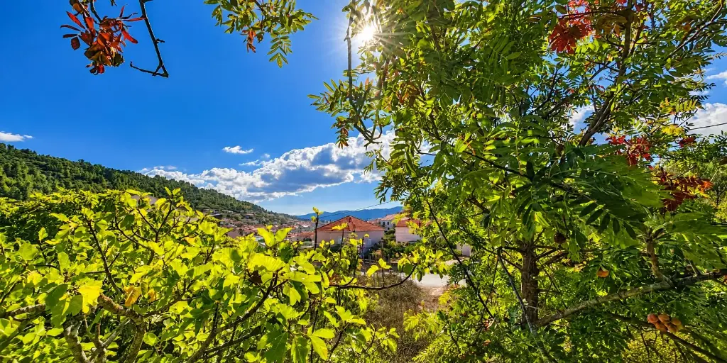BUILDING PLOT WITH PROJECT IN VELA LUKA
