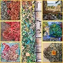 WINE & ART /Private visit to renowed artist