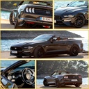 RENT THE MUSTANG