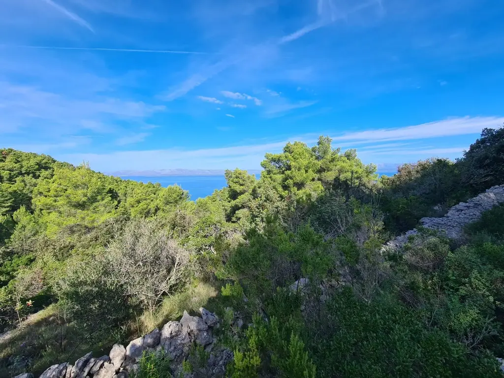 Agricultural Land in Spiliška Cove, 21 000m2