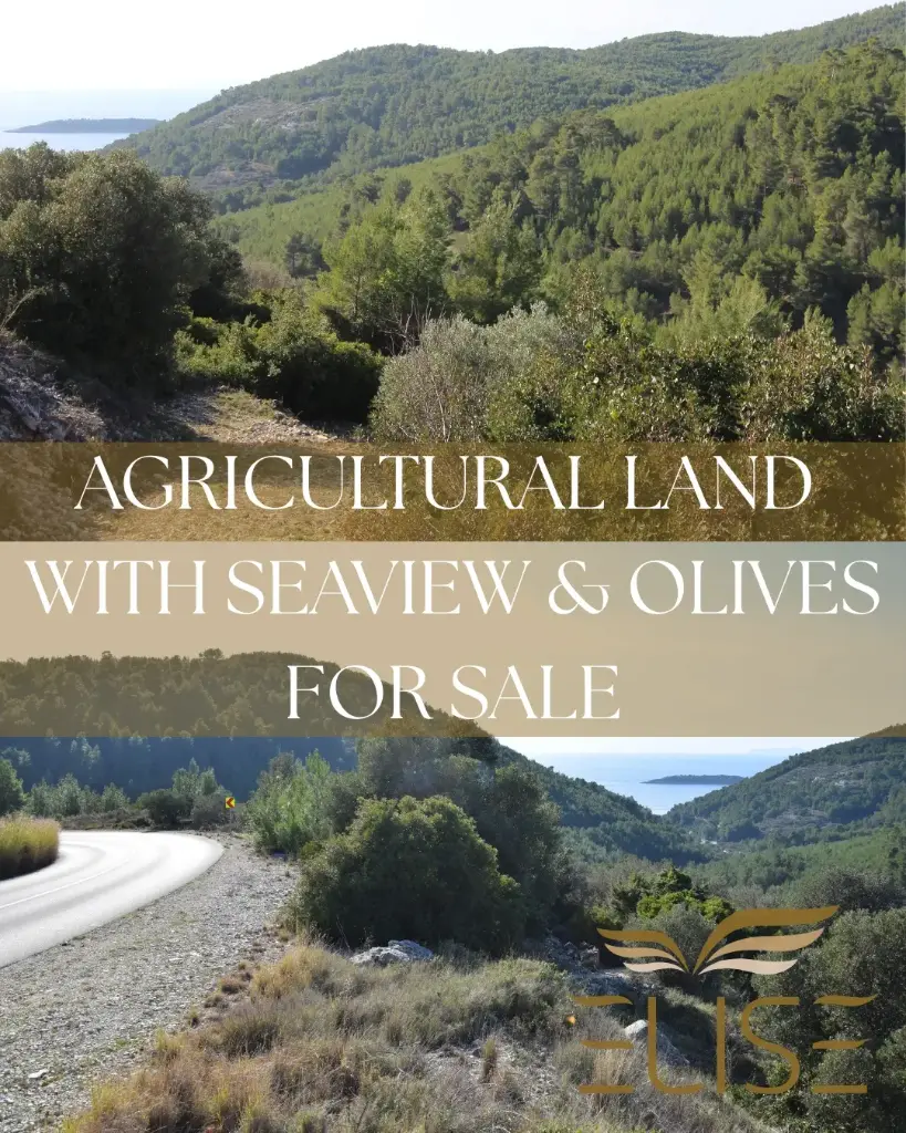 Landwirtschaftliches Grundstück mit Meerblick & Olivenbäumen, 3.700 m² – 35.000 €